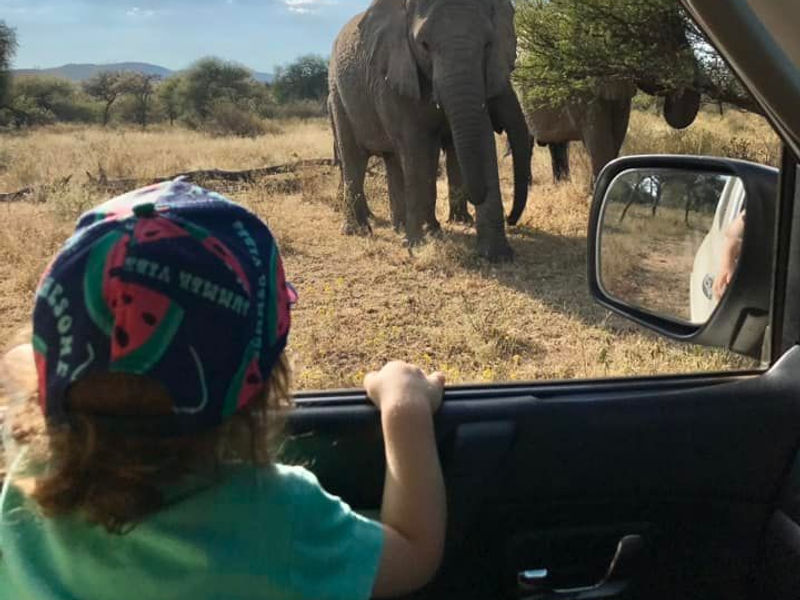 Mabalingwe Game Reserve - 2