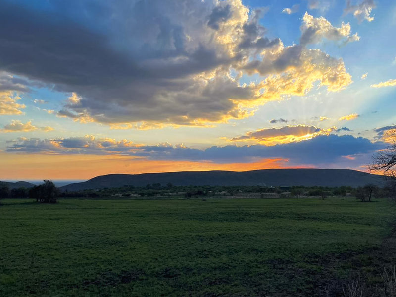 Mabalingwe Game Reserve - 3