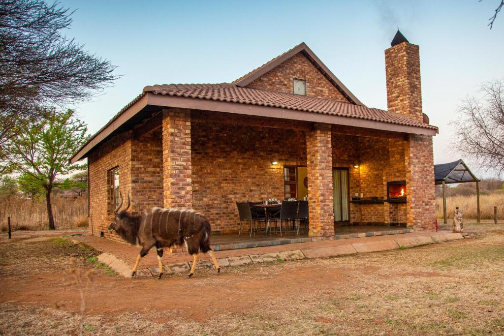Sondela Nature Reserve & Spa - 1